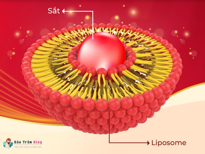 Công nghệ liposome của ferrolip