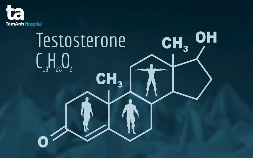 Testosterone là hóc môn sinh dục nam
